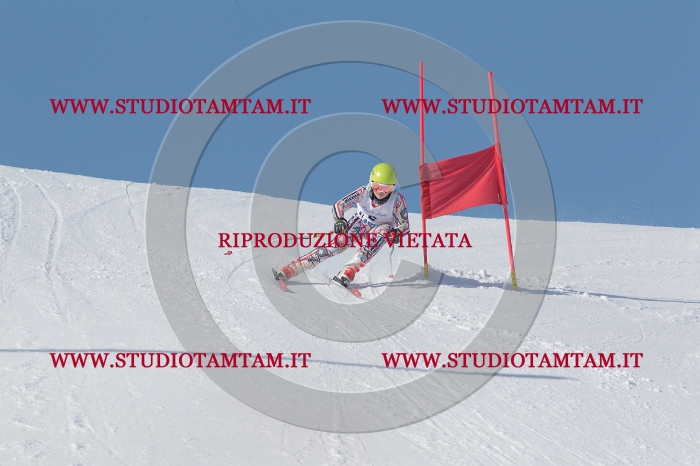 MAT_4462.JPG