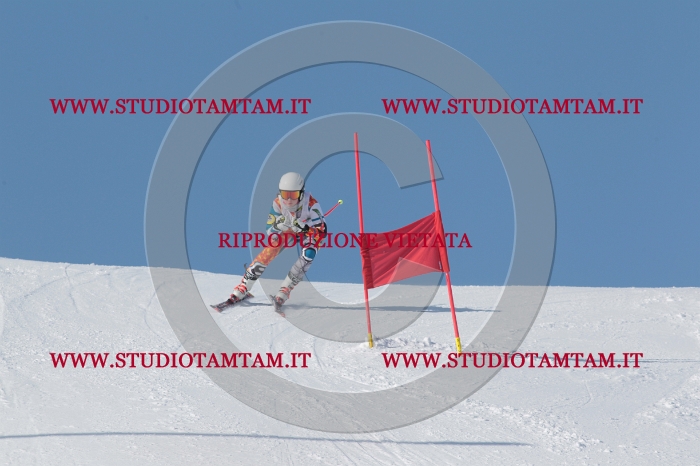 MAT_4480.JPG