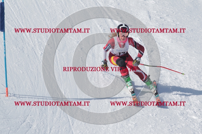 MAT_4526.JPG
