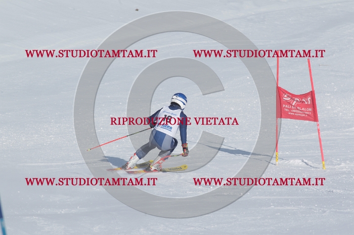 MAT_4560.JPG