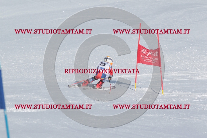MAT_4629.JPG