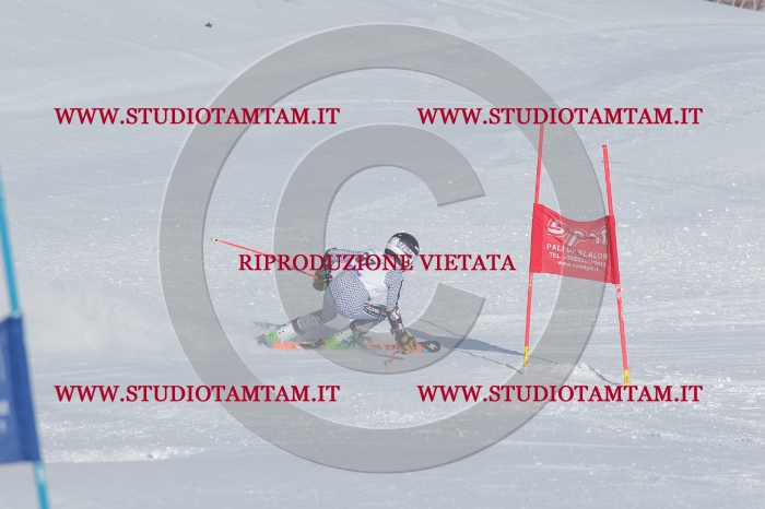 MAT_4757.JPG