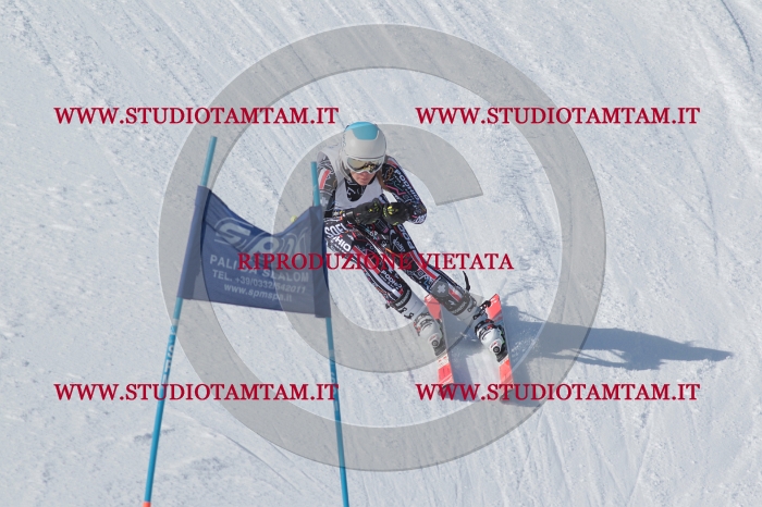 MAT_4769.JPG
