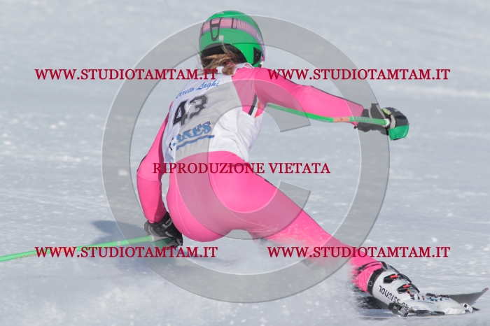 MAT_4804.JPG