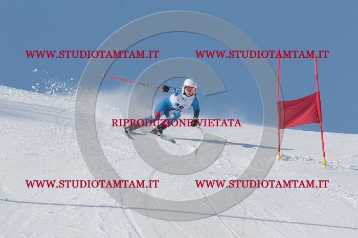 MAT_4817.JPG