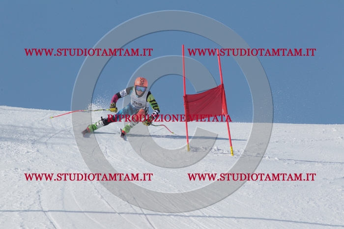 MAT_4953.JPG