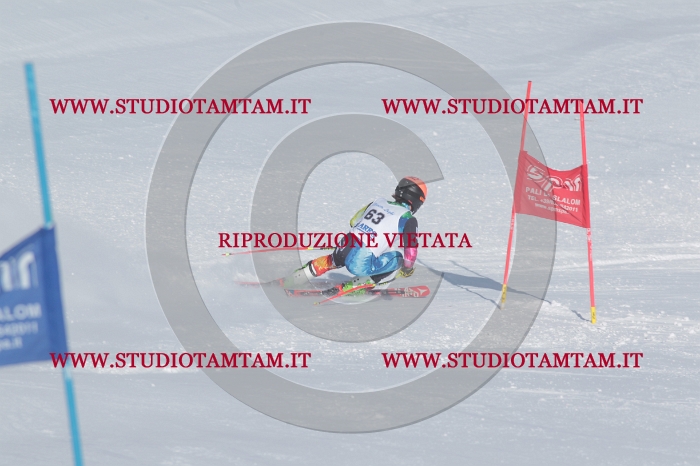 MAT_4959.JPG