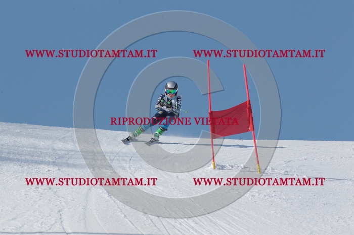 MAT_5008.JPG