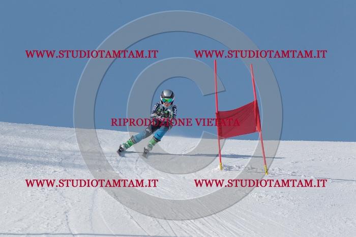 MAT_5009.JPG