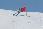 MAT_4667