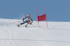 MAT_4954