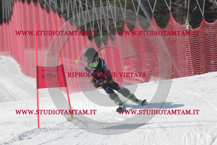 MAT_0085.JPG