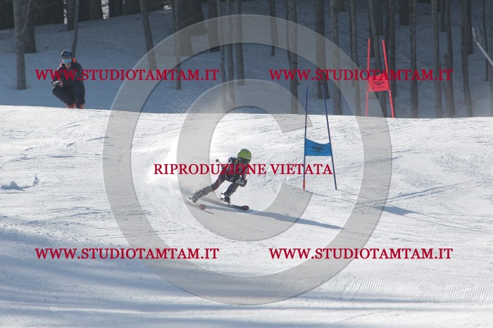MAT_0142.JPG