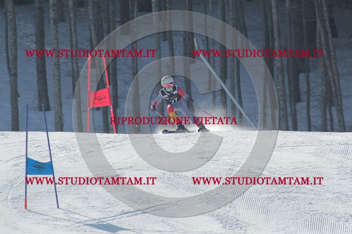 MAT_0226.JPG