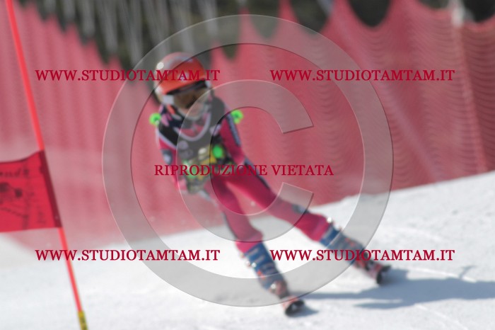 MAT_0307.JPG
