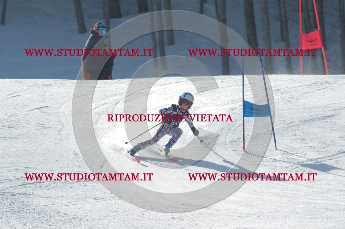 MAT_0321.JPG