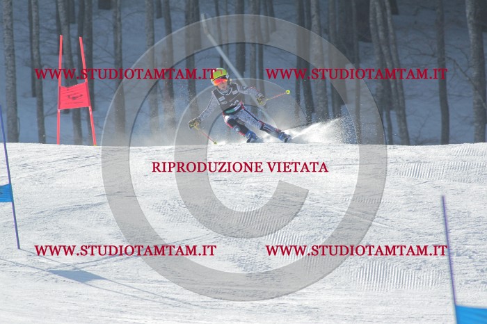 MAT_0360.JPG