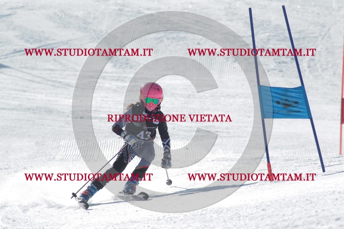 MAT_0399.JPG