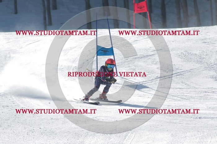 MAT_0548.JPG