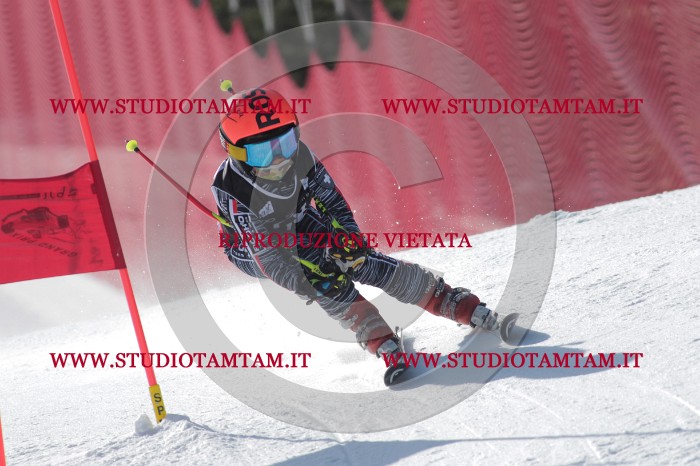 MAT_0556.JPG