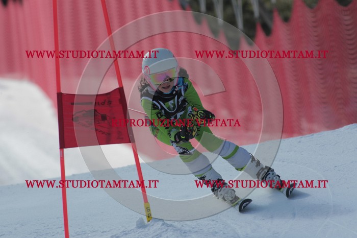 MAT_0631.JPG