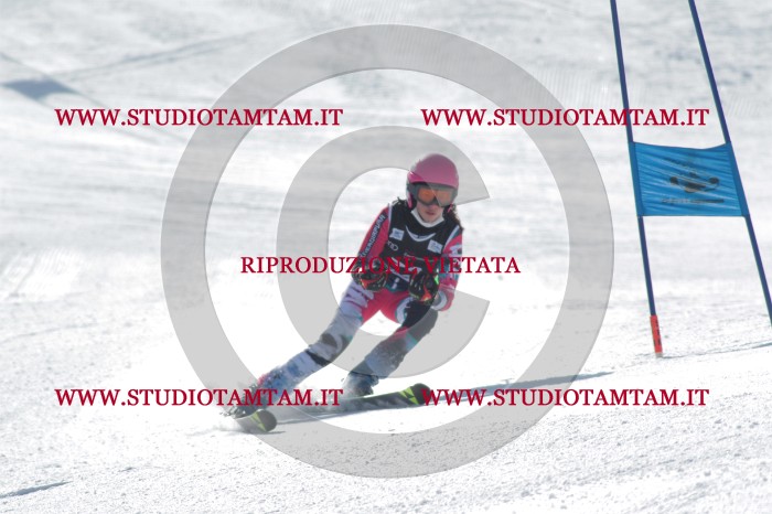 MAT_0711.JPG