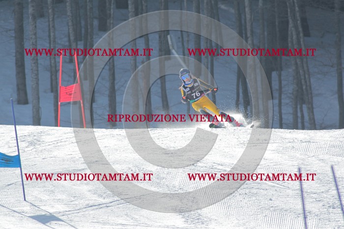 MAT_0739.JPG