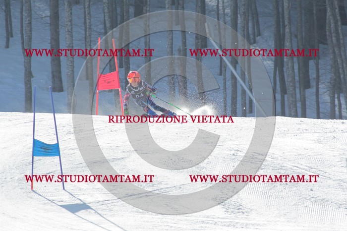 MAT_0945.JPG