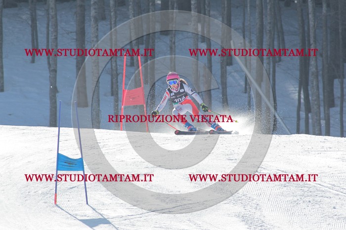 MAT_1063.JPG
