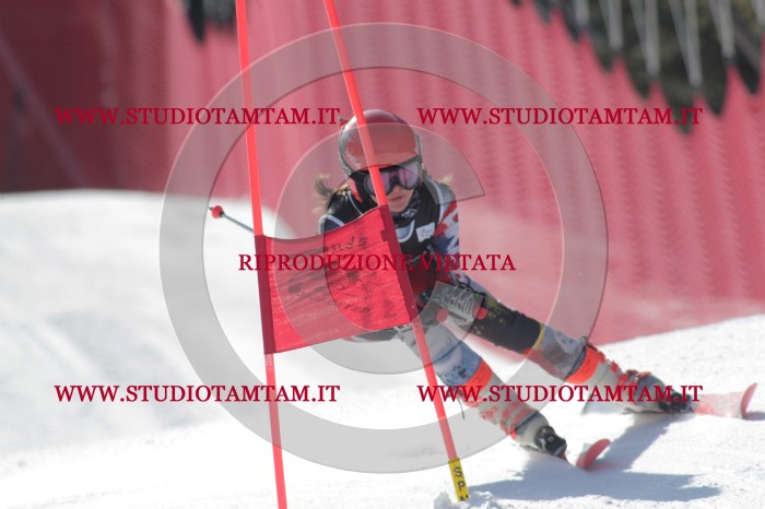 MAT_1083.JPG