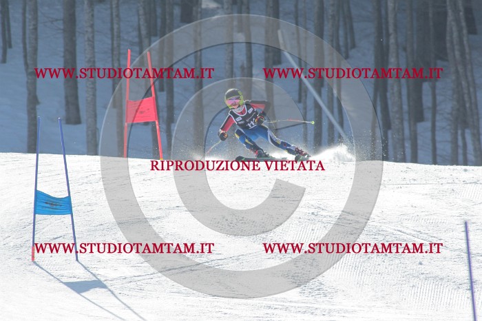 MAT_1151.JPG