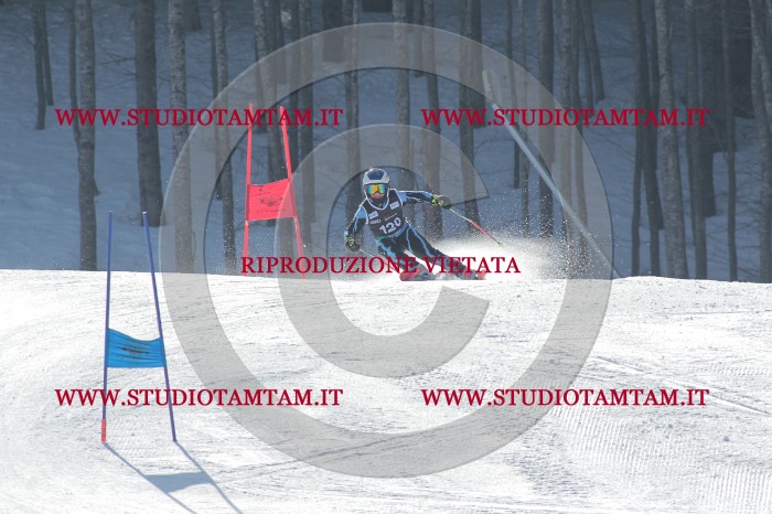 MAT_1254.JPG
