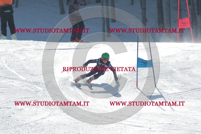MAT_1352.JPG