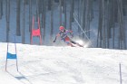MAT_1074