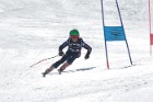MAT_1356