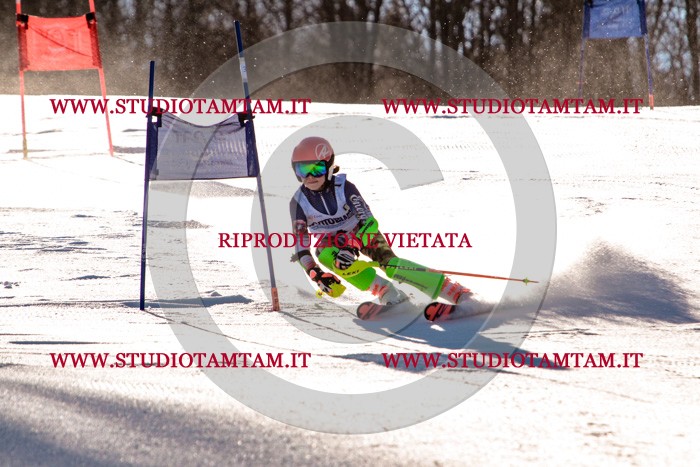 MAT_5081.jpg