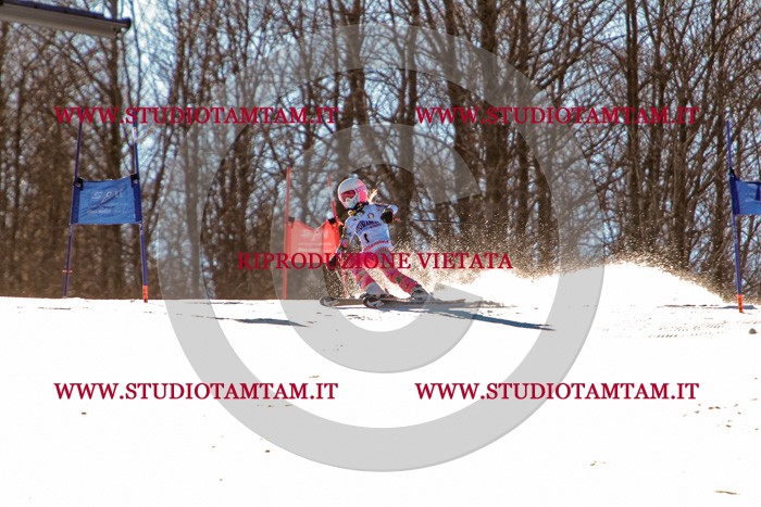 MAT_5094.jpg