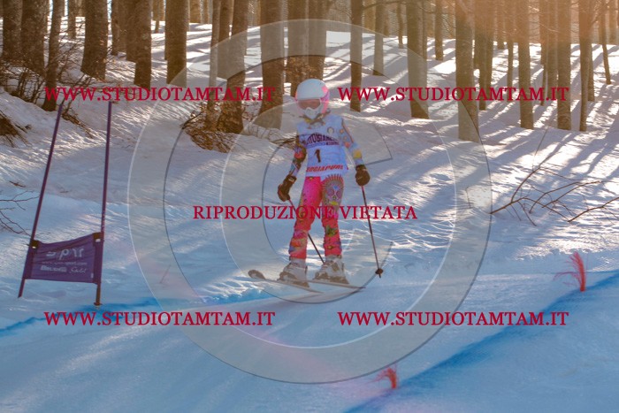 MAT_5099.jpg