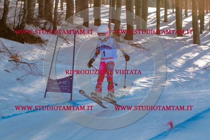 MAT_5100.jpg