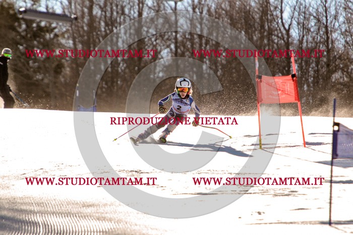 MAT_5103.jpg
