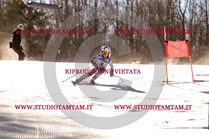 MAT_5104.jpg