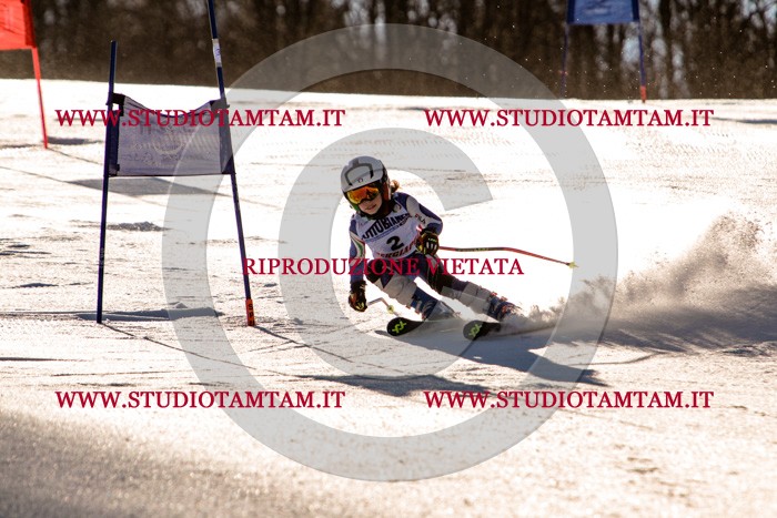 MAT_5106.jpg