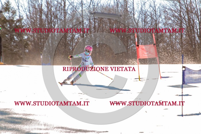 MAT_5110.jpg