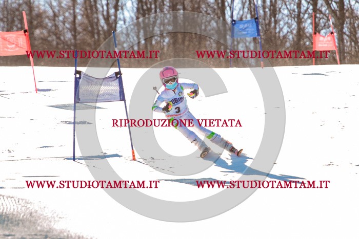 MAT_5112.jpg