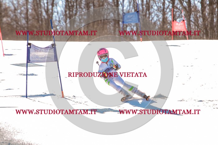 MAT_5113.jpg