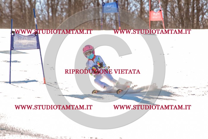 MAT_5114.jpg