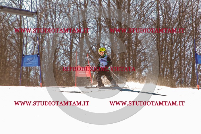 MAT_5118.jpg