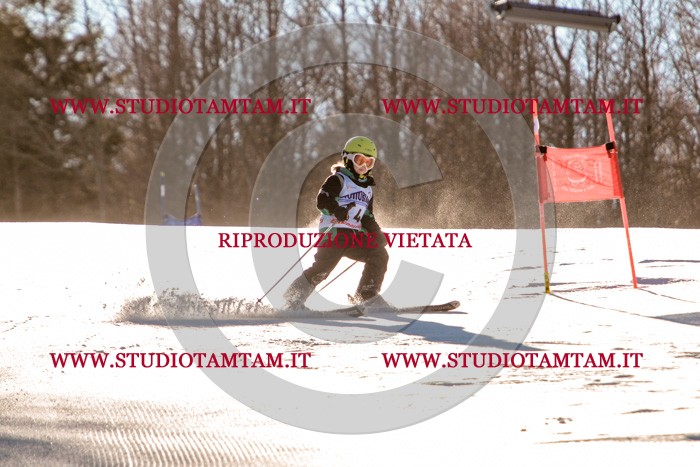 MAT_5119.jpg