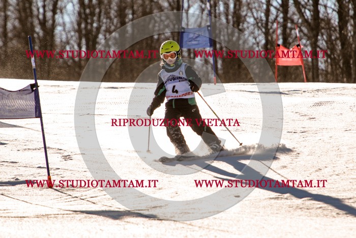 MAT_5120.jpg