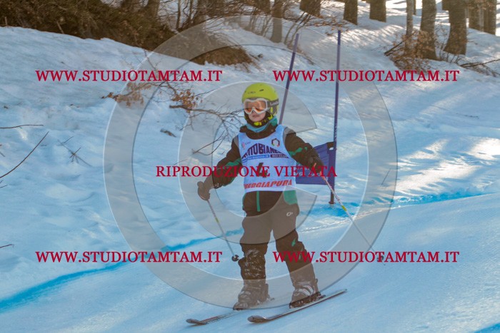 MAT_5123.jpg